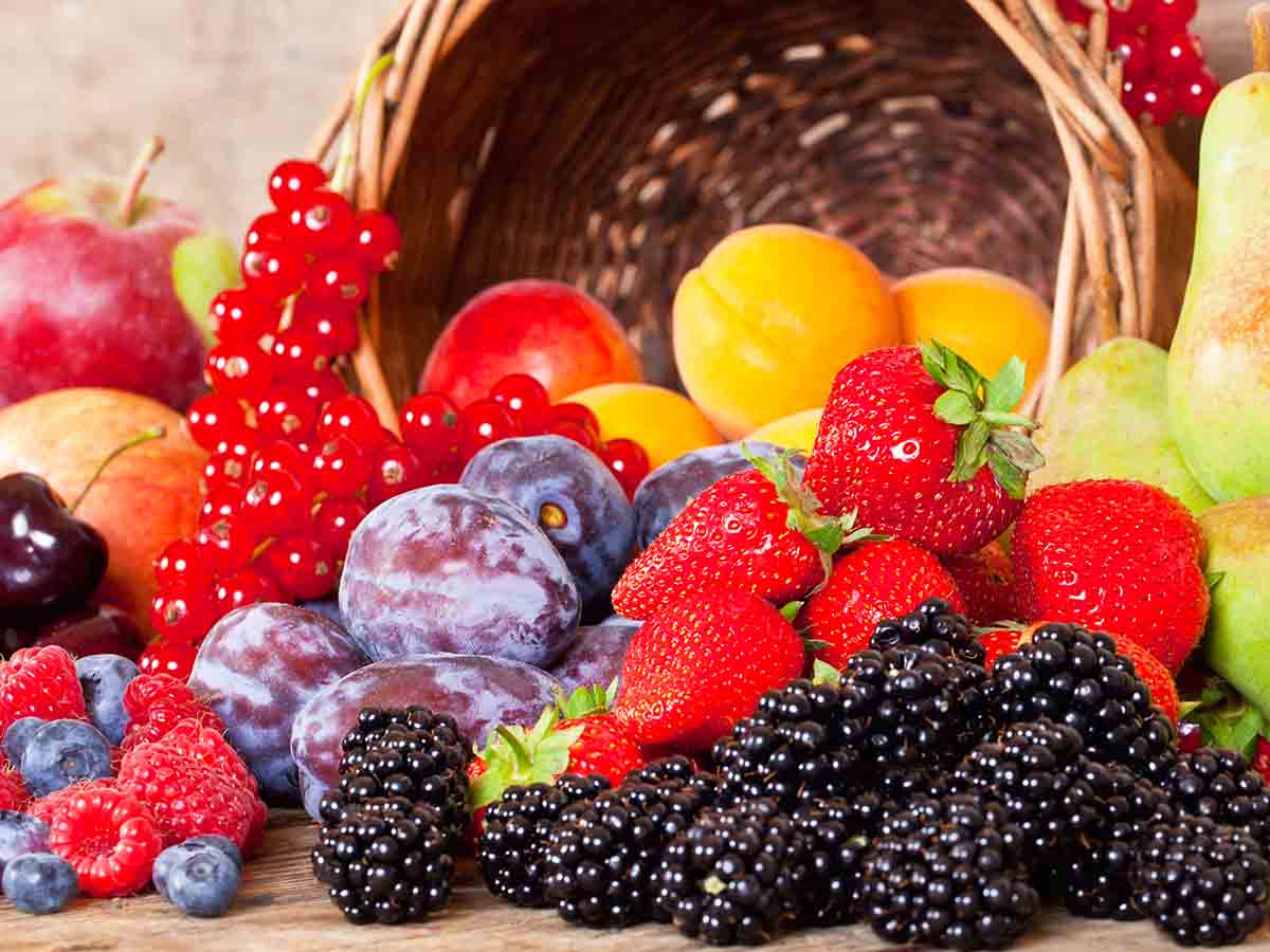 fruits for puppies