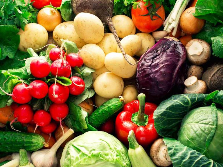 vegetables for puppies